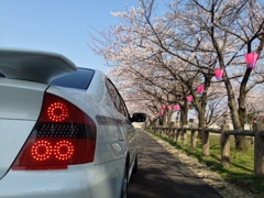 桜　Ｂ４　ＬＥＤテール