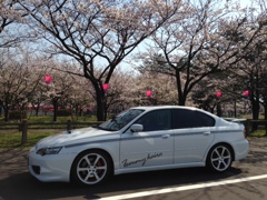 桜　レガシィＢ４　ＢＬ５