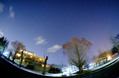 夜の公園