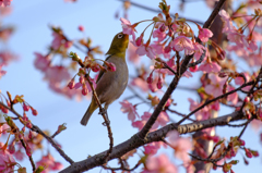 首を伸ばして