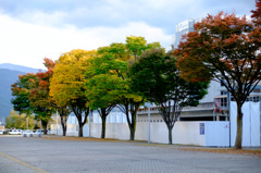 カラフル