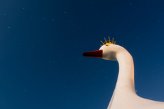 白鳥丸の王冠、かわゆす