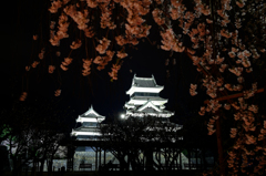 枝垂桜と松本城2