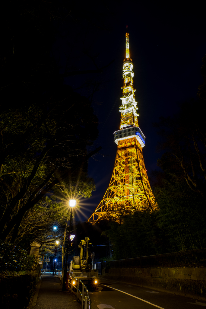 東京タワーへの道