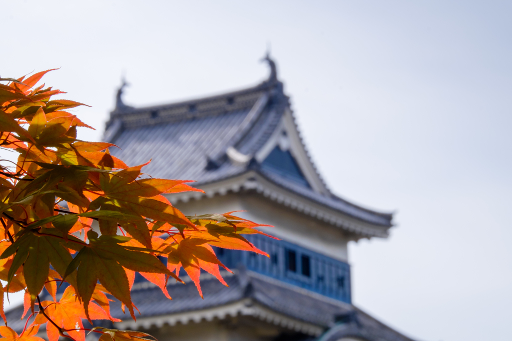 お城と紅葉