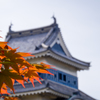 お城と紅葉