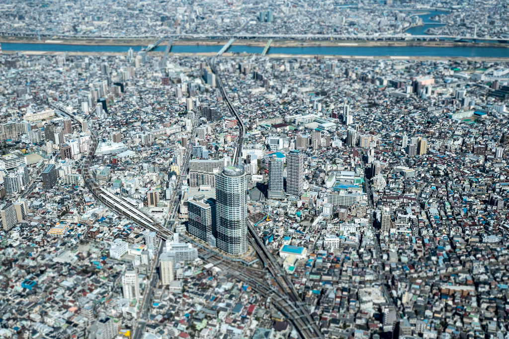 東京