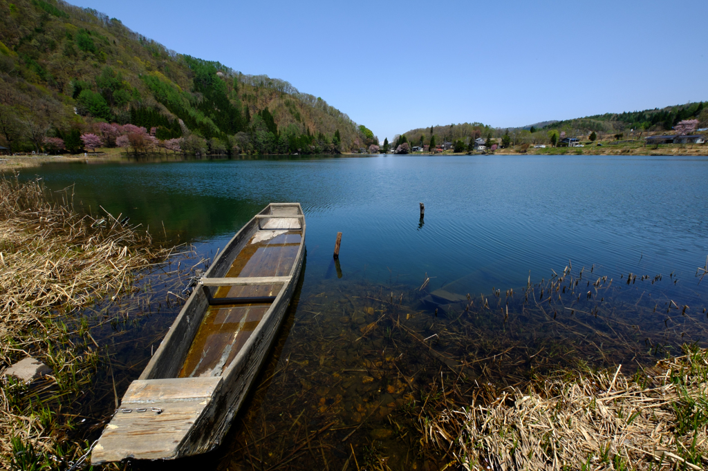 湖の風景