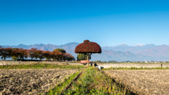 安曇野の風景