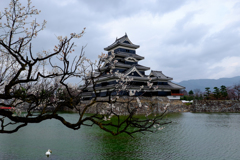 梅と白鳥とお城