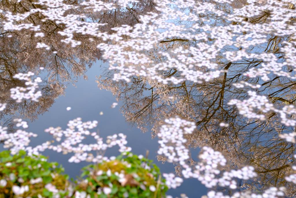 高遠城址公園