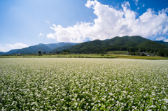 そばの咲く山沿いの村