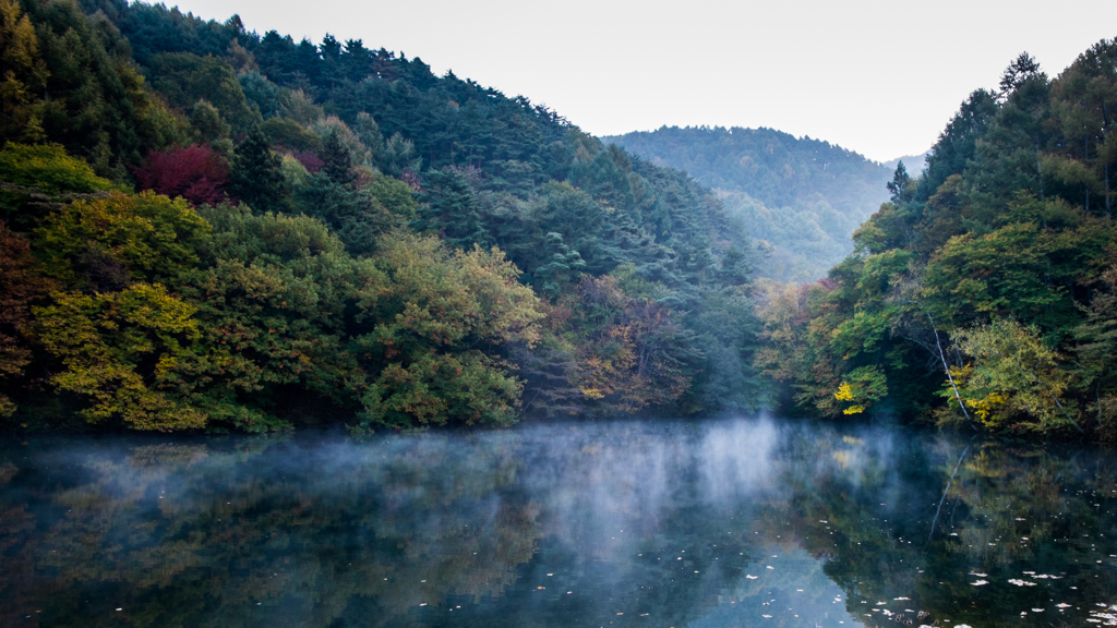 秋の大沢の堤