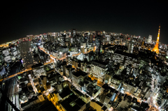 東京、明るいね。