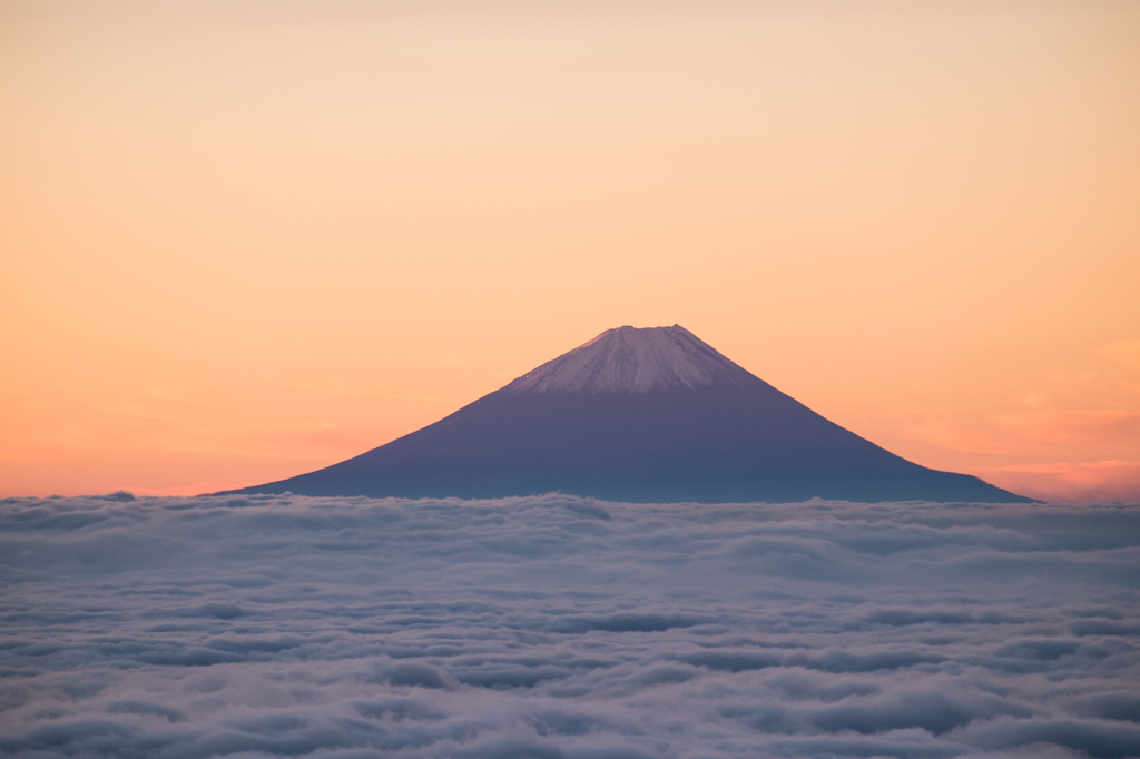 この海を泳いで富士山へ