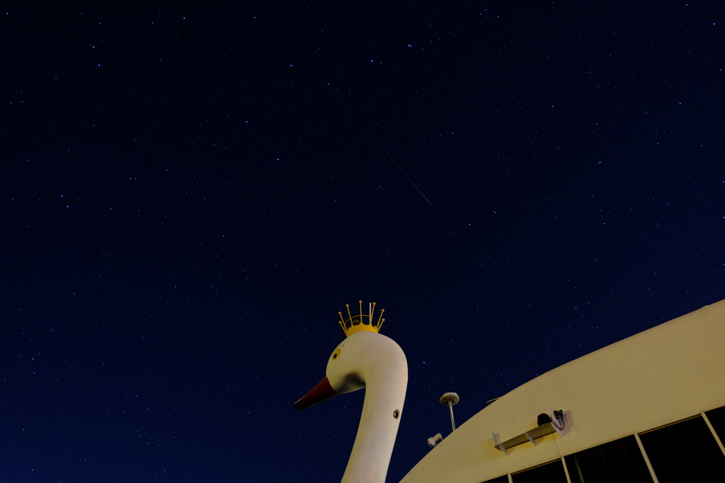 白鳥丸と星空3