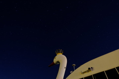 白鳥丸と星空3