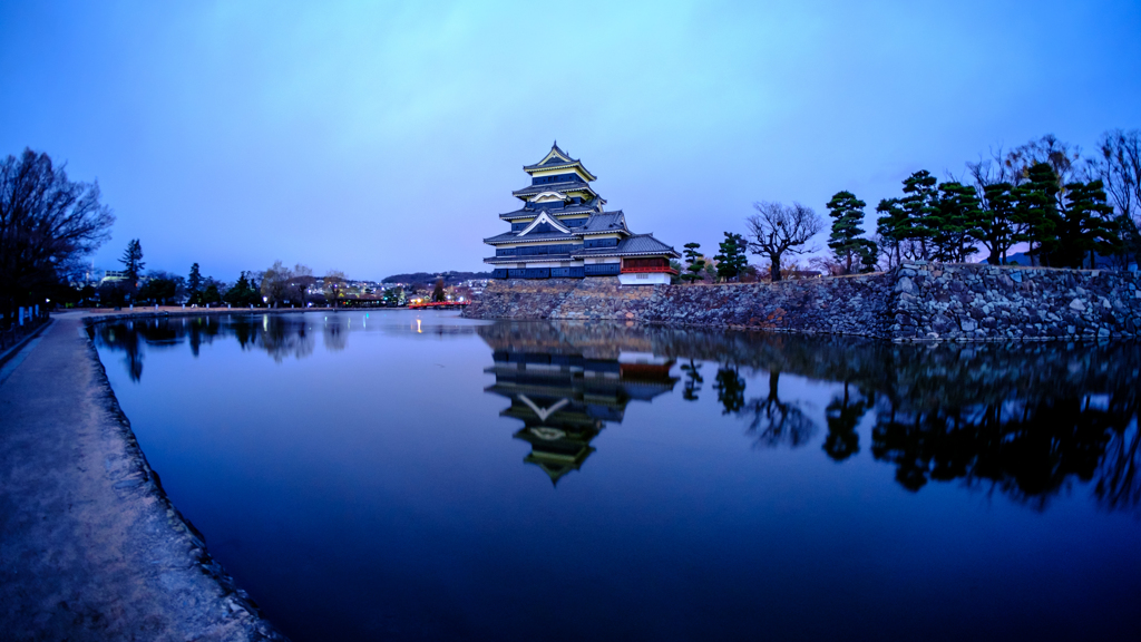 蒼朝