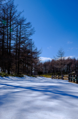 冬の想い出：雪が残る