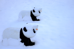 雪パンダ