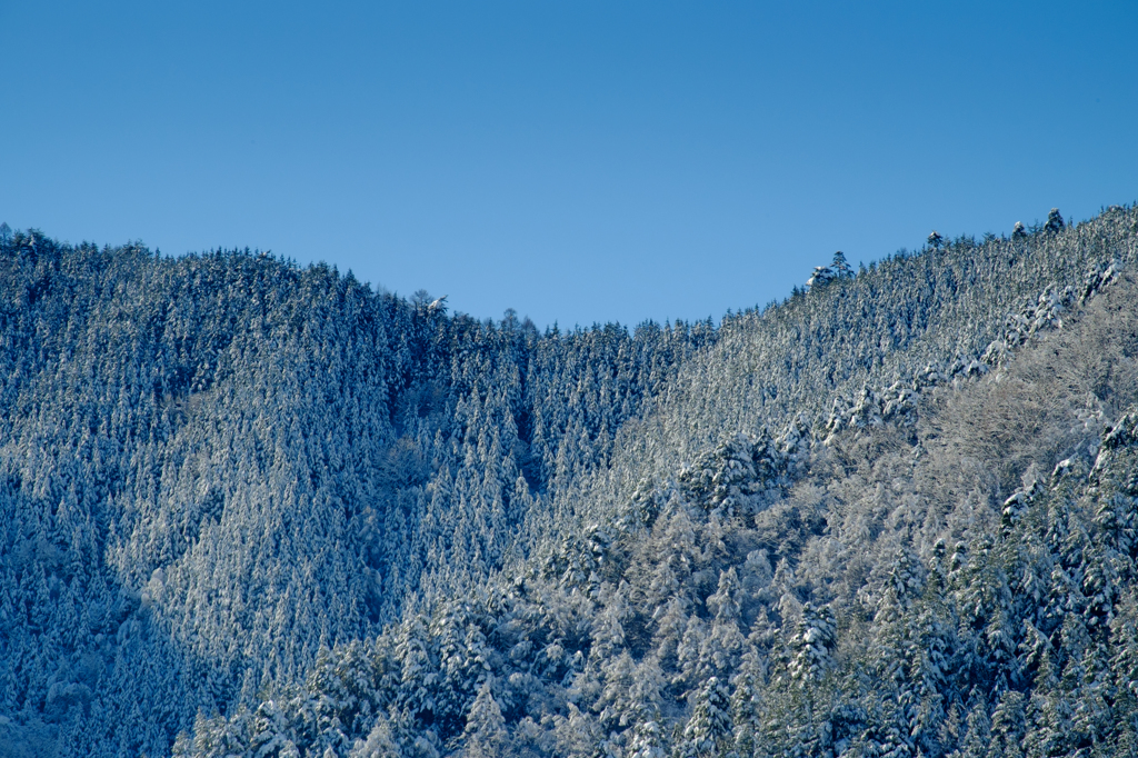 山