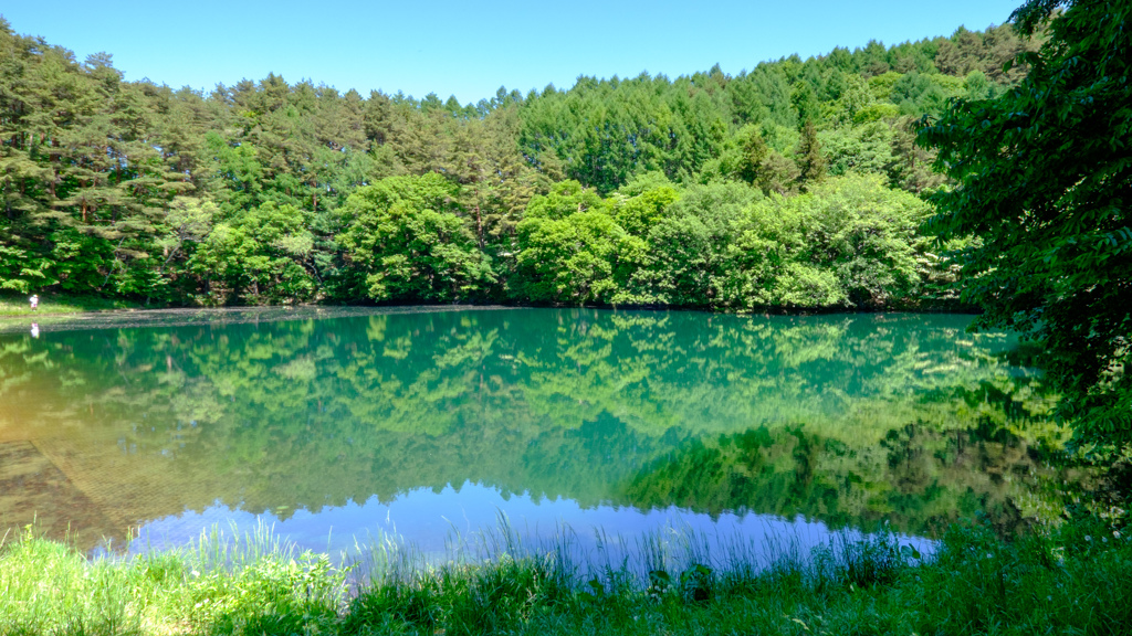 大沢提