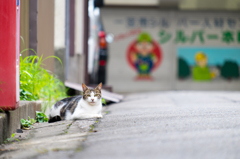 まったり