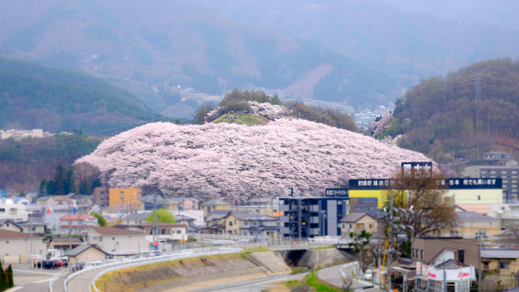 弘法山