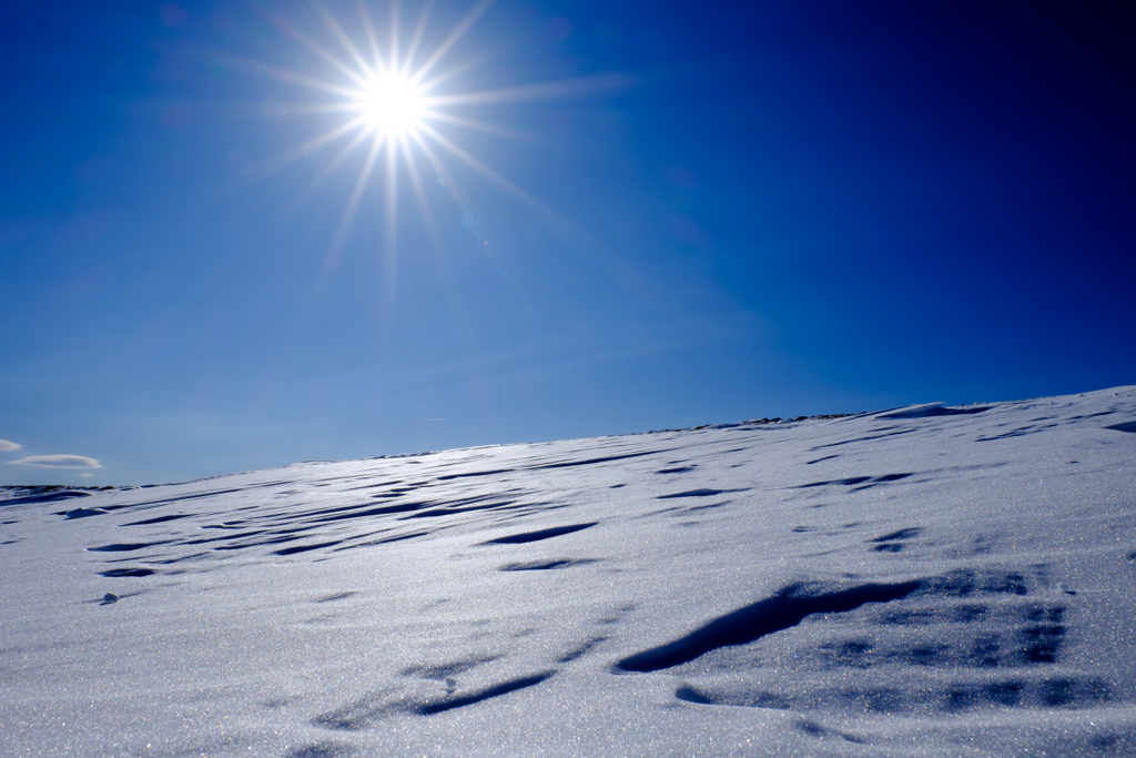 太陽と雪と