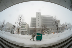 大雪の日も