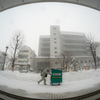 大雪の日も