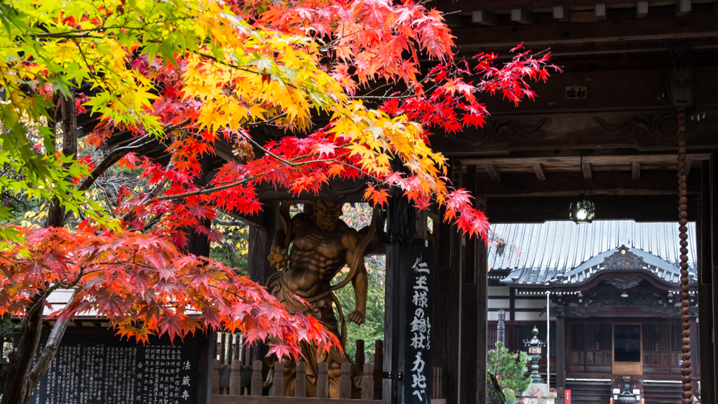 仁王様と紅葉