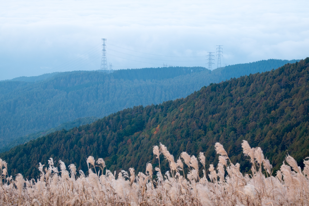 山肌の秋はまだ。