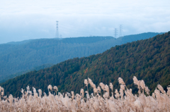 山肌の秋はまだ。