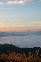 秋の景色　タテ