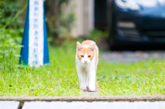 近づいてきた