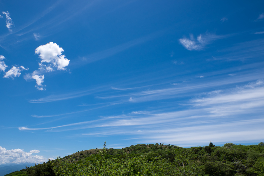 気持ちいい空