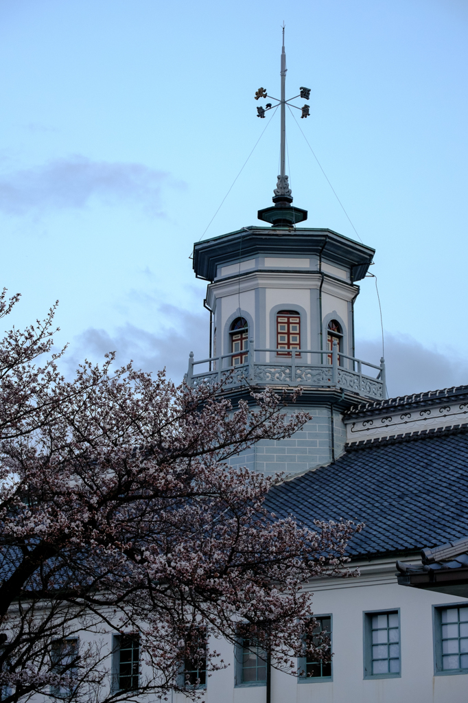 歴史と桜