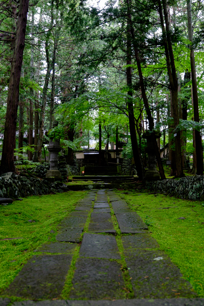 苔の参道