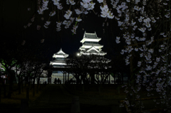枝垂桜と松本城