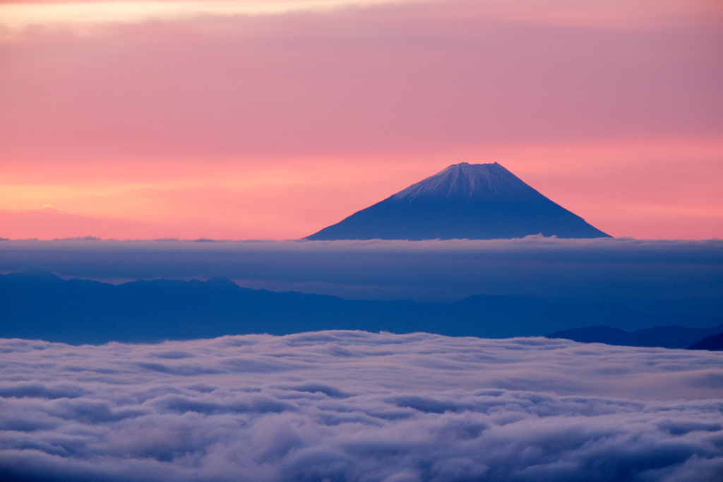 雲海と富士、ピンク空
