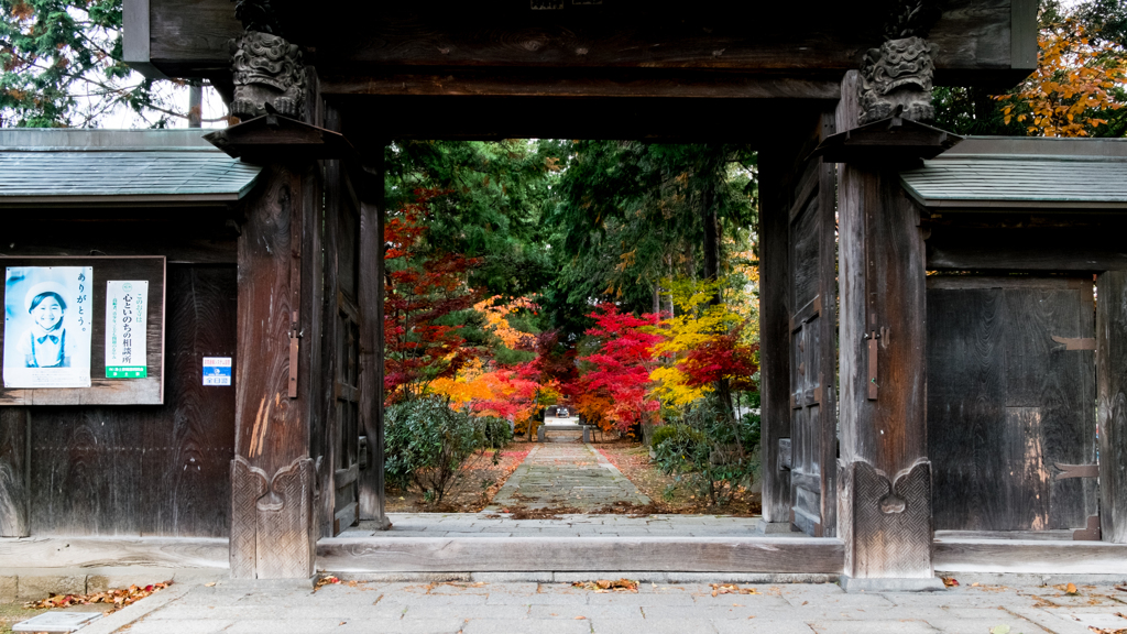 山門から望む紅