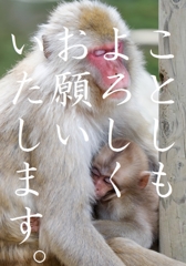 今年もよろしくお願いします！