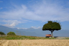 安曇野の風景　Velvia