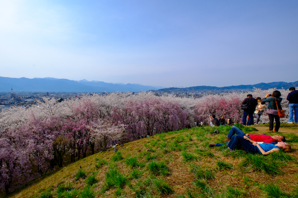 お昼寝