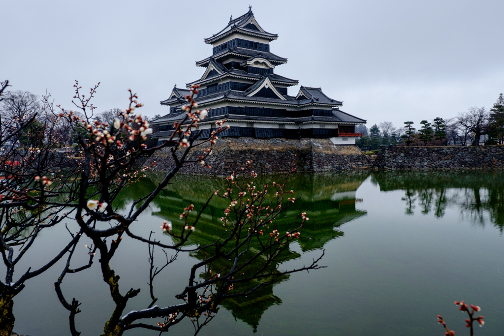 遅い春