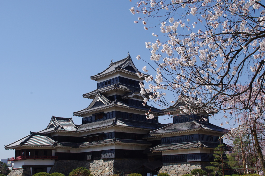 松本城
