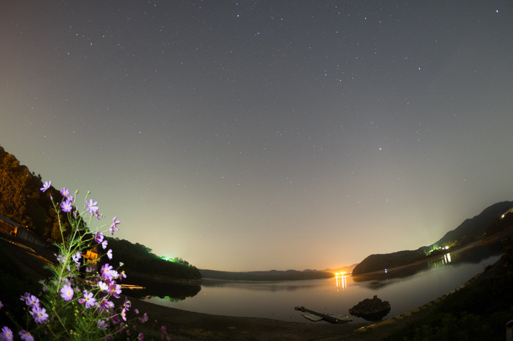 入鹿池とコスモス、星空