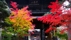 寺の秋
