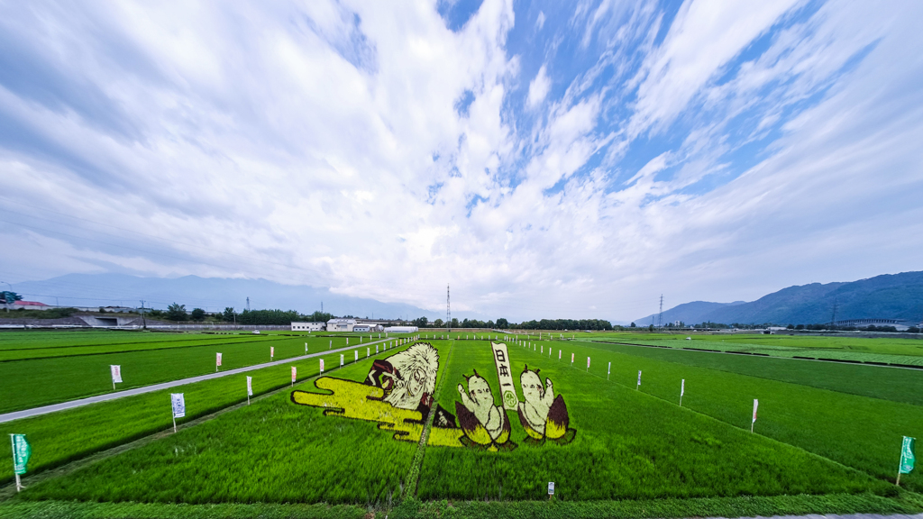 松本田んぼアート